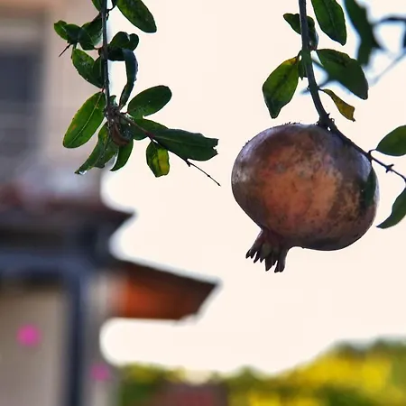 Hébergement de vacances Villabayviewcrete Hersónissos